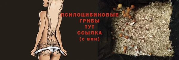 хмурый Белокуриха