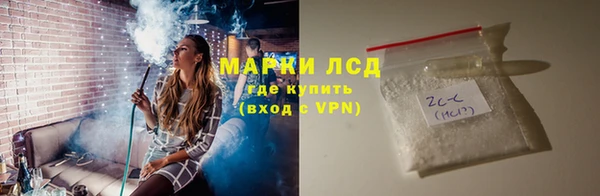 хмурый Белокуриха