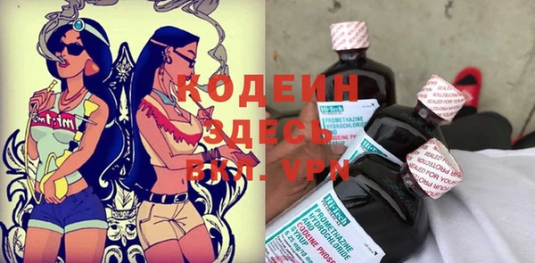 хмурый Белокуриха