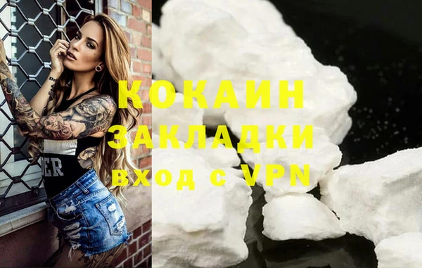 хмурый Белокуриха
