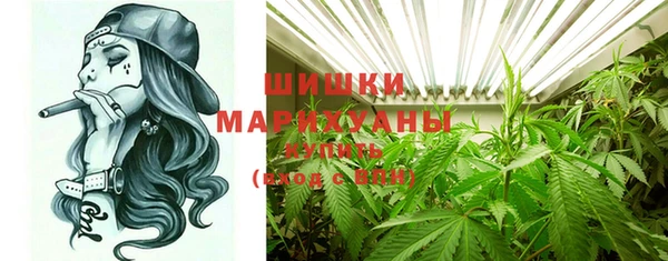 хмурый Белокуриха