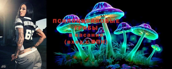 хмурый Белокуриха